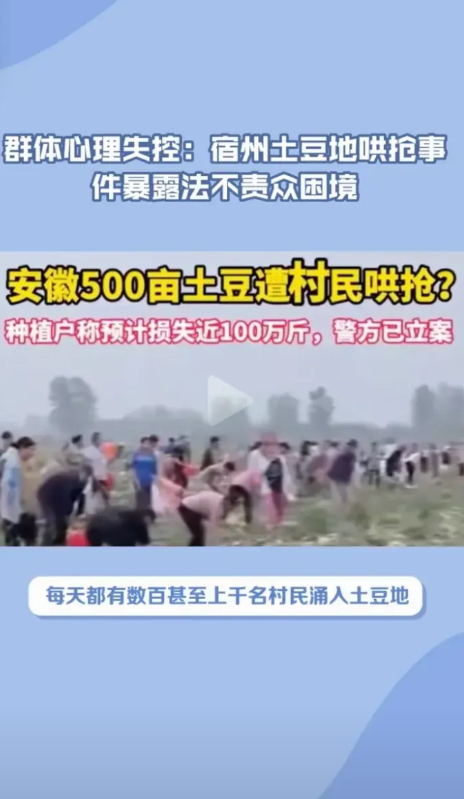 有人说：“农民哄抢承包商的土豆，是制度问题，因为土地的所有人是农民，农民在自家的