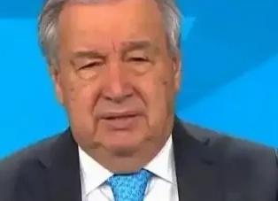 联合国突然掏出历史教科书icon，扉页上就写了一句话。你敢信这句话直接戳穿