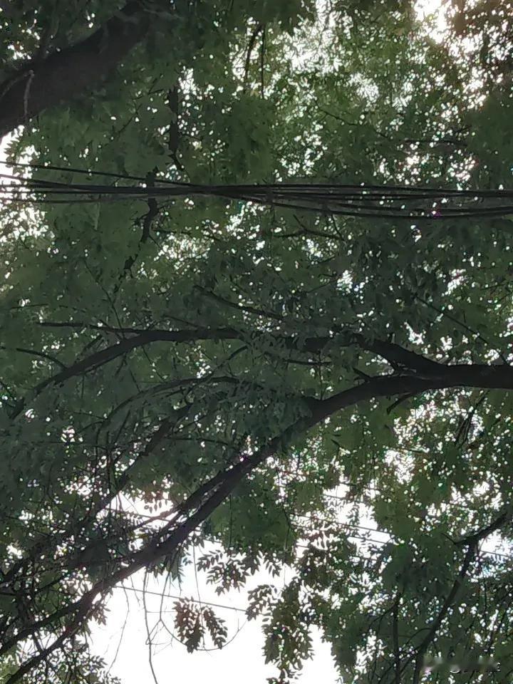 最隐蔽的腐败：文盲靠亲属权力空手套工程，身家千万无人敢管。身边总有一