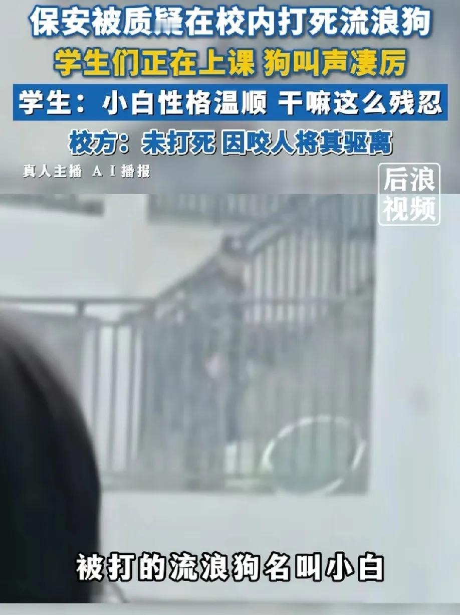 重庆的一职校保安被曝在校内打死流浪狗，学生说:当时正是上课的时候，听到狗的惨叫声