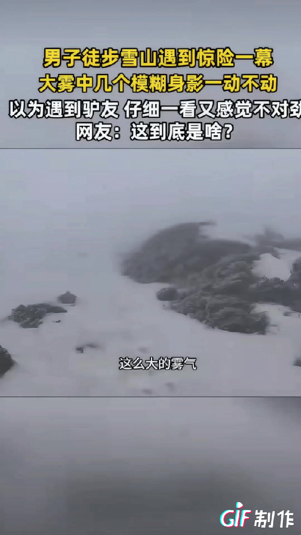 “解释不清了！”云南，一男子爬雪山，爬到半山腰，突然发现前方出现了几个模糊身影，