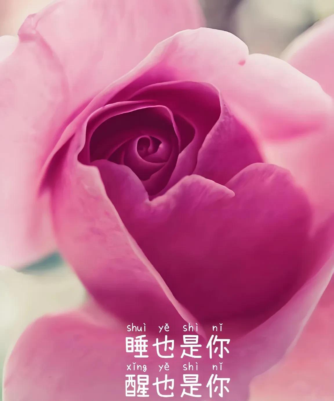 有些爱注定没结果却成了一生守侯有些情一旦开始便覆水难收每天想到你我