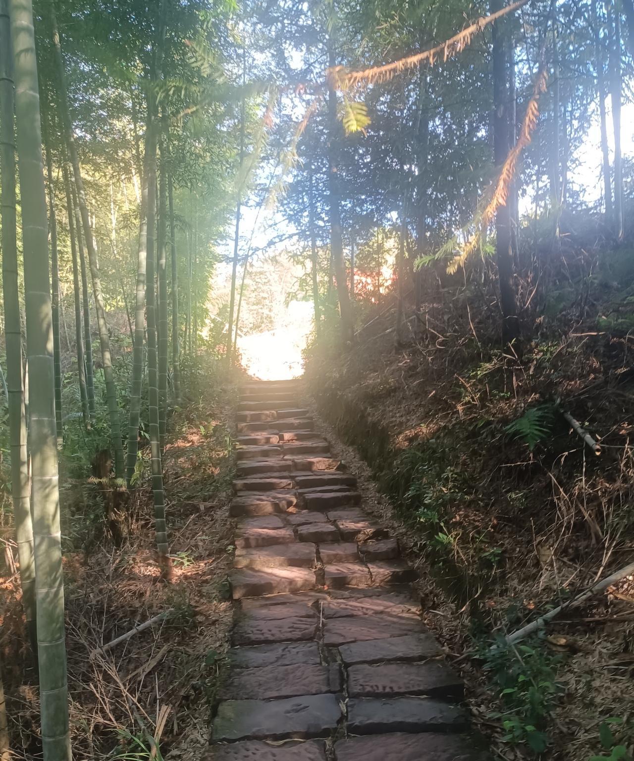为什么要设英语，并且让其中高考和语数同分？其实我们这些教英语的老师本身也挺疑惑。