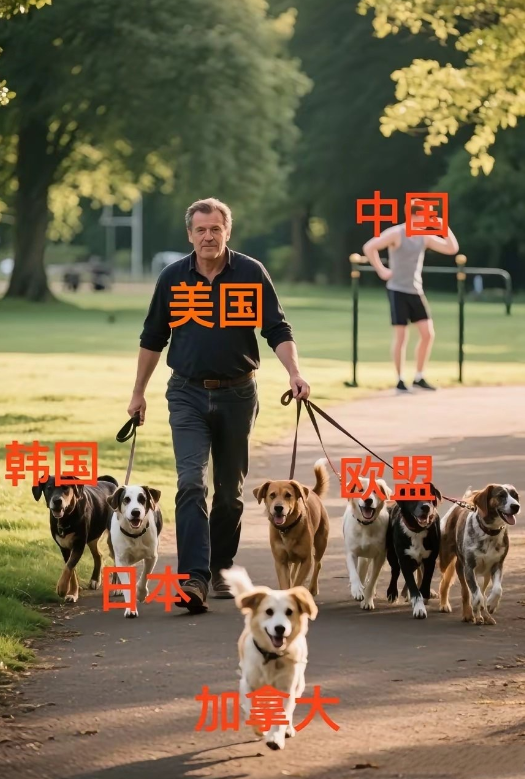 这就是当今世界的样子，虽然形象生动，但图不应景呀，应该美国牵着一群狗对着我们叫才