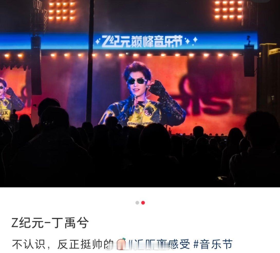 丁禹兮音乐节随机帅到一个路人观众