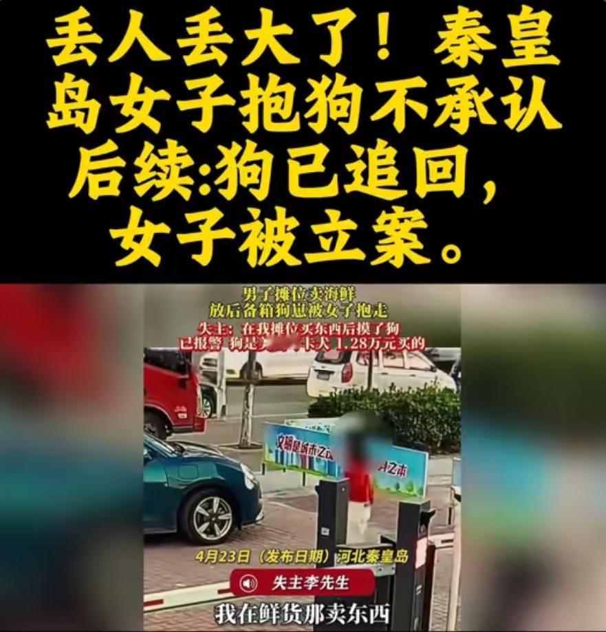 骂早了？大姐偷万元幼犬后续，更恶心的内幕曝光：不止一次干这事全网都在骂她光
