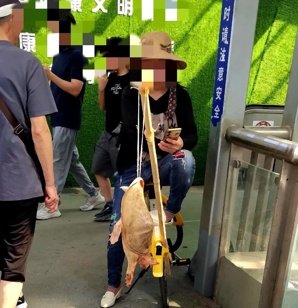 有知道这女人到底是在干嘛的吗？一女子长期盘踞于医院附近的天桥上，将棍子的
