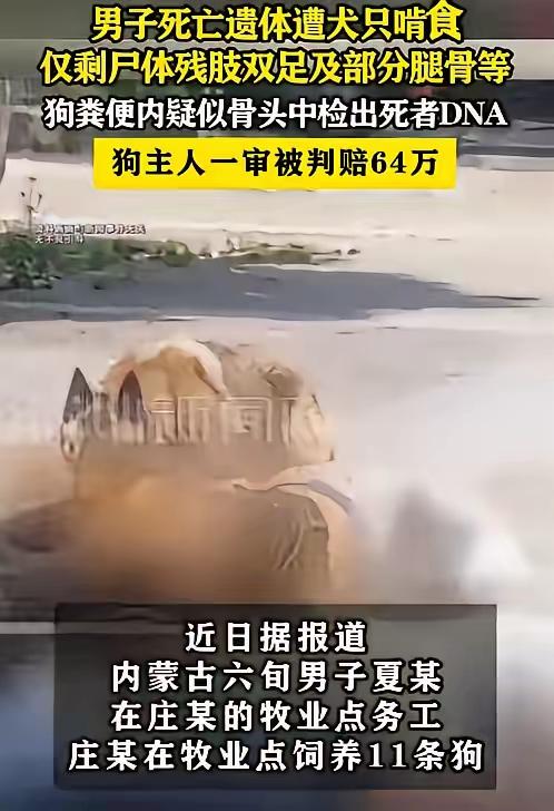 内蒙一男子养了11条狗，这天他来看狗时，竟发现狗在啃骨头，而且很像是人骨，他意识