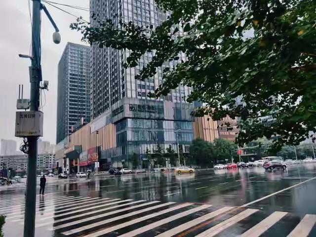 受台风外围云系强降雨冲击，沈阳全域发布暴雨红色预警，全市统一停工停课，全面落实防