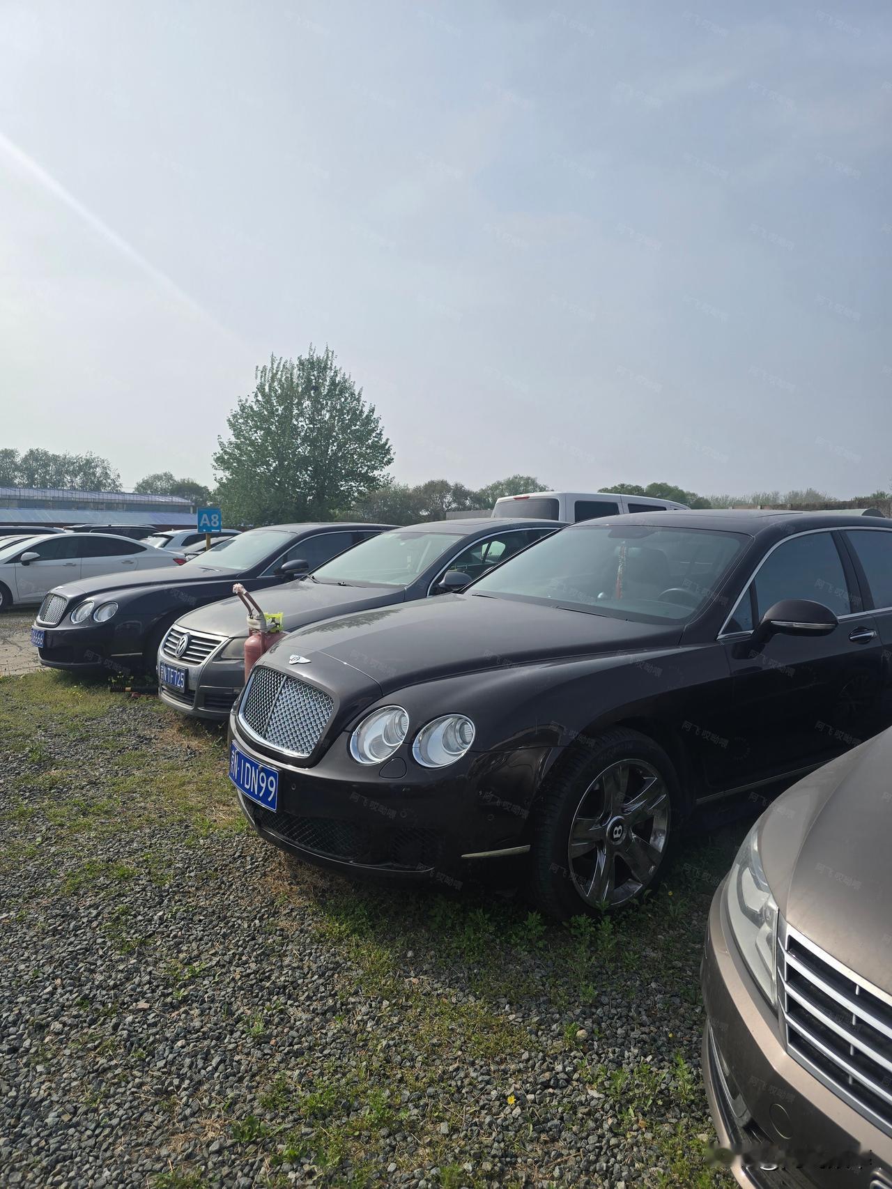 愿赌服输停车场见闻京A四连号小宾利你的主人估摸着也是京城刀枪炮吧？宾利大v8