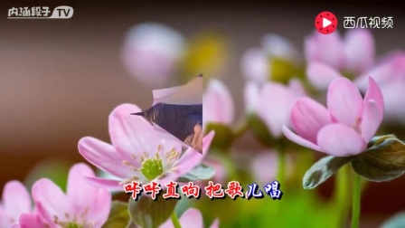 简谱大姑娘美大姑娘浪_大姑娘美简谱