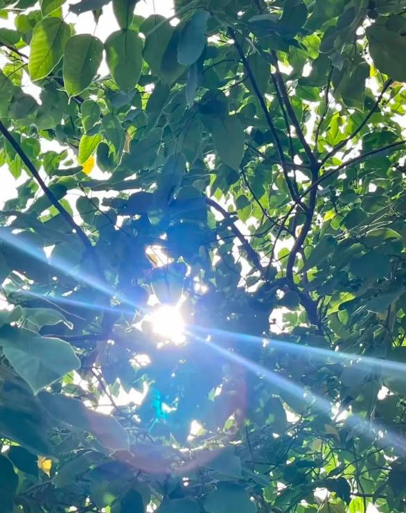 这下大家放心了，再过5天，也就是8月14号，全国各地都将正式进入末伏阶段，一共