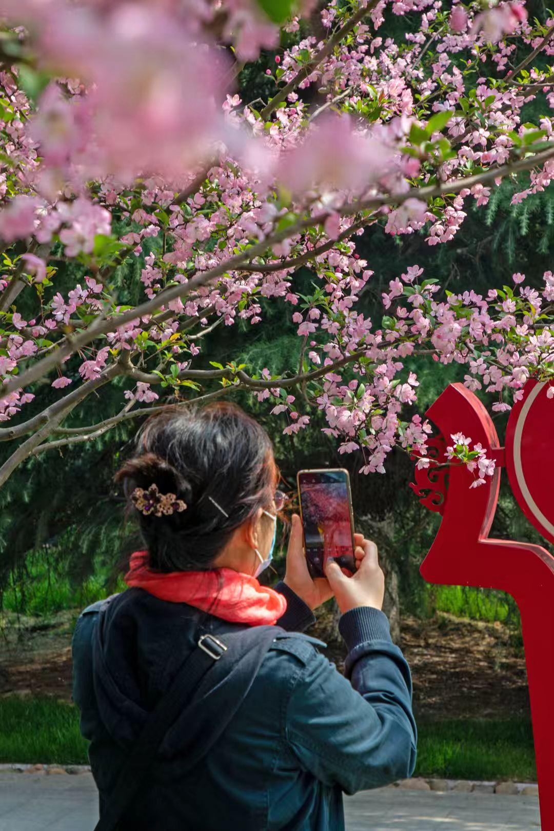 合肥的春天也太好逛了吧🔥赏花+露营+研学+体育四大顶流场景直接拉