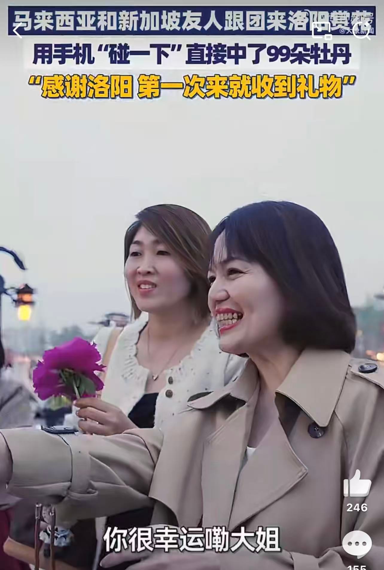 外籍友人组团来洛阳赏花，是对洛阳牡丹魅力的最好诠释。他们从世界各地而来，只为目睹