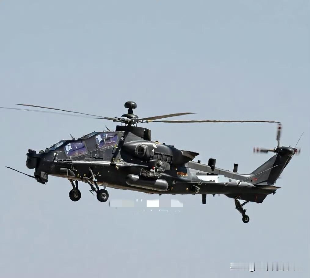 嘿嘿嘿，不得不说我们高配版头上顶个球的武直-10，这看着就是高大上啊！[墨镜]