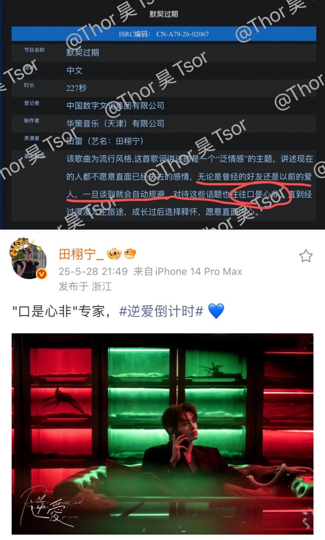 口是心非专家…