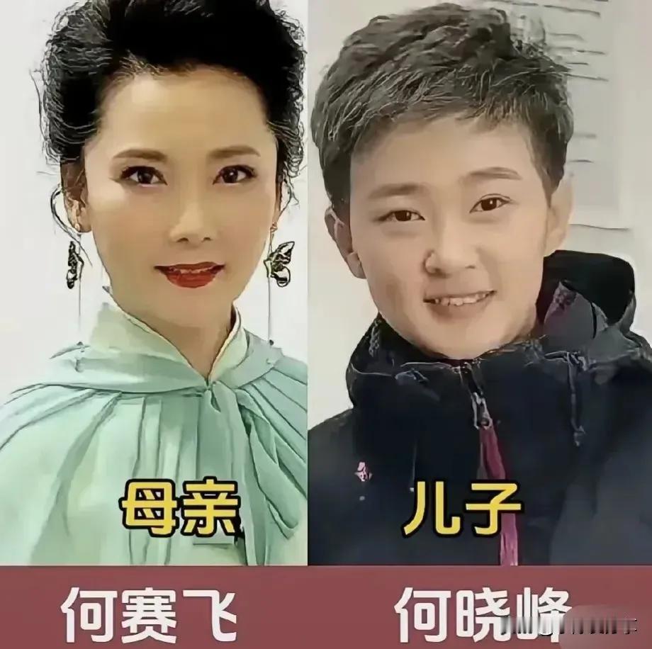 洪欣的儿子很帅气。邓莎的儿子很帅气。何赛飞的儿子很帅气。李玲玉的儿子很帅气