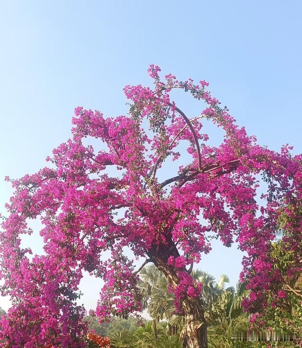 这个二婚带孩子的女人真不能娶。一女子，带着女儿，找一个同样二婚带儿子的老公，过了