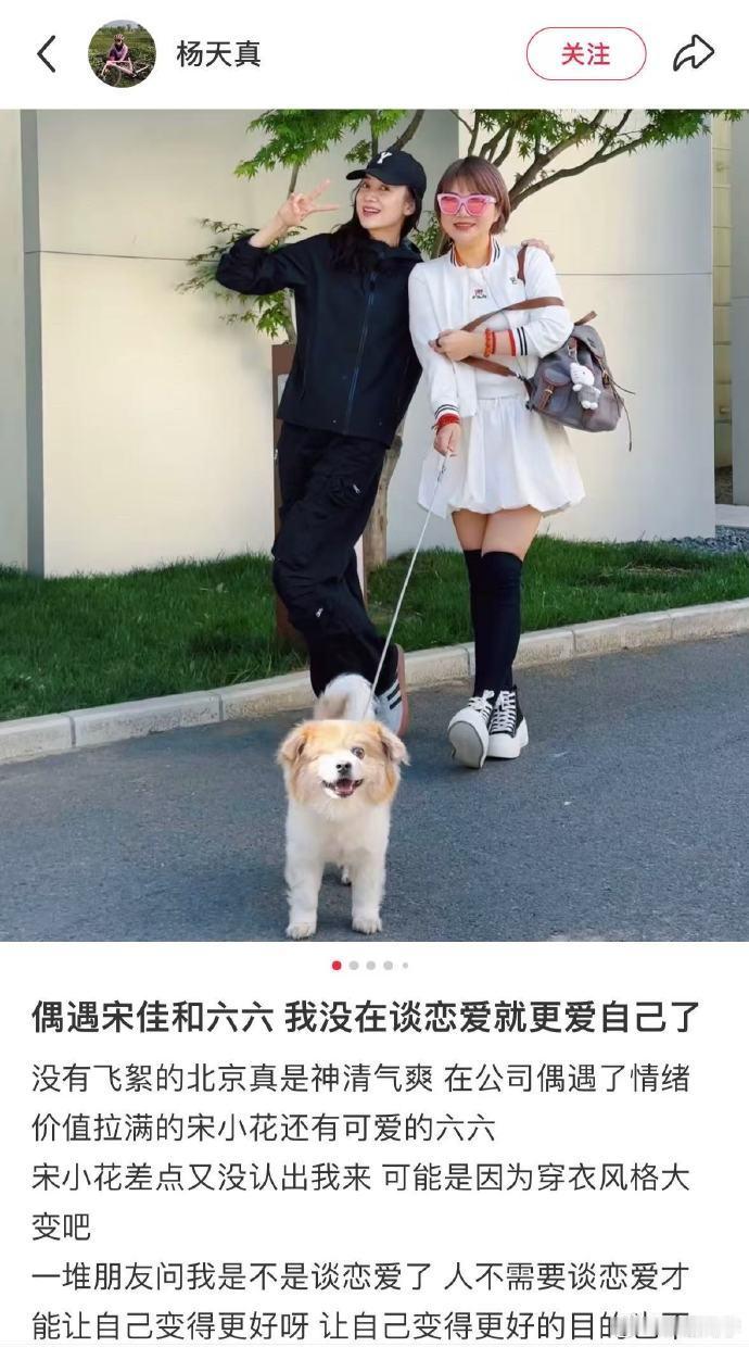 宋佳“差点没认出”趣梗不断，杨天真瘦身引关注，娱乐圈这点事儿，真够大家唠一阵。