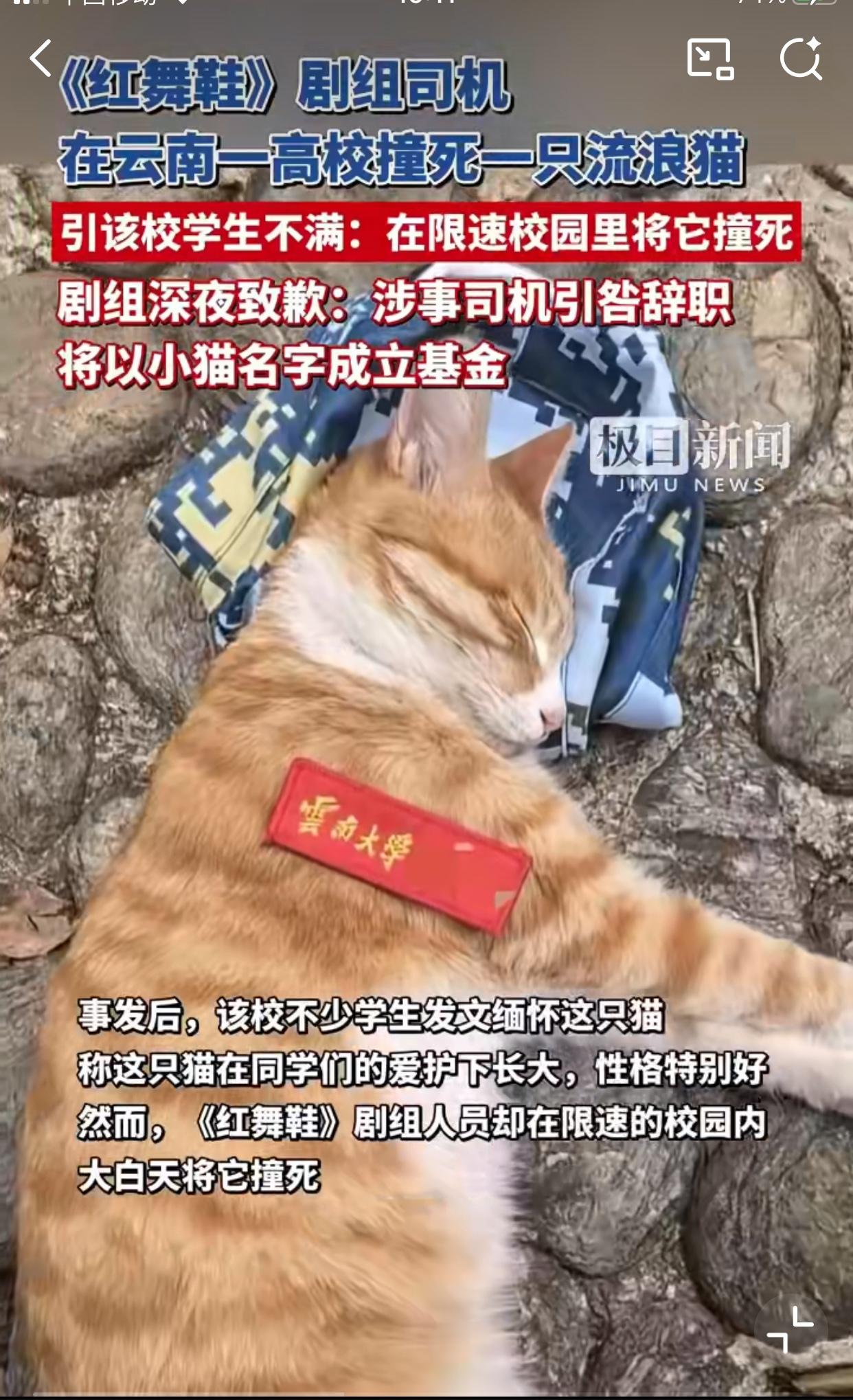 红舞鞋是被血染红的！云南大学的“小橘子”去世了！有学生说剧组在云南大学拍戏，
