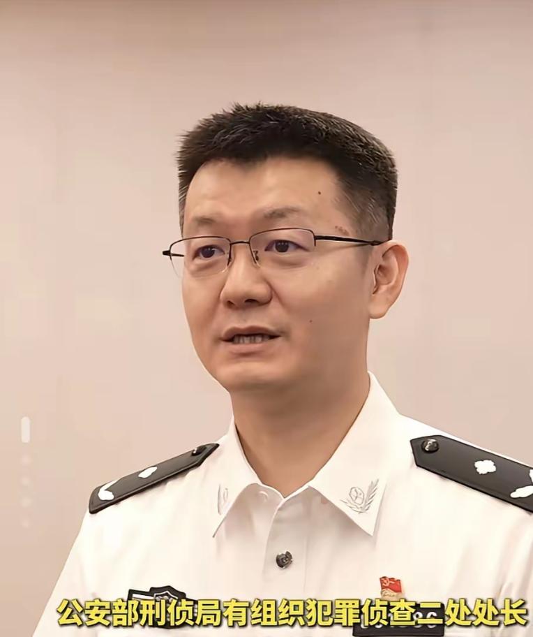 8200多人一夜落网！这哪是抓罪犯，这是把藏在地下的雷一锅端了！ 这不是影视