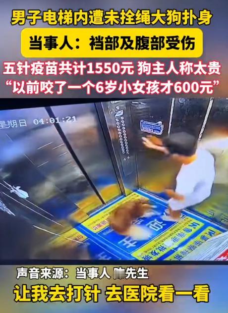 山东，一男子坐电梯准备回家，突然从外面冲进来一条没拴绳的大型犬，二话不说就开始撕