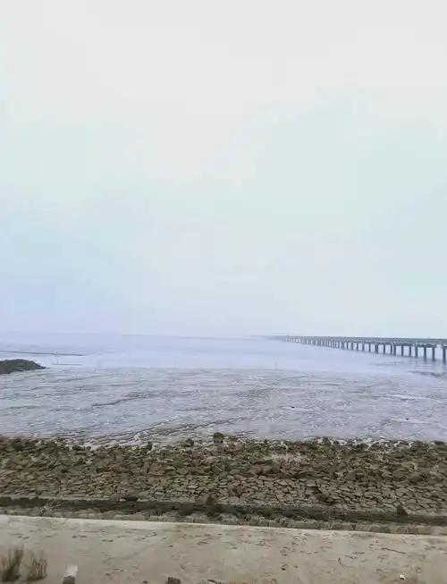 江苏明明靠海，为什么没人去那里看海？江苏明明有954公里长的海岸线，比很多