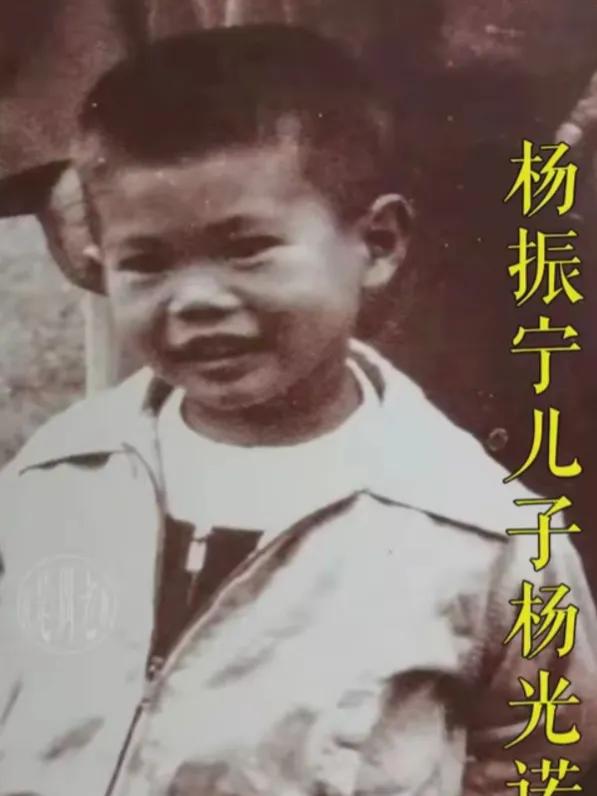 杨振宁的长子杨光诺为何没有出席父亲的葬礼呢？是何原因呢？2025年10月18