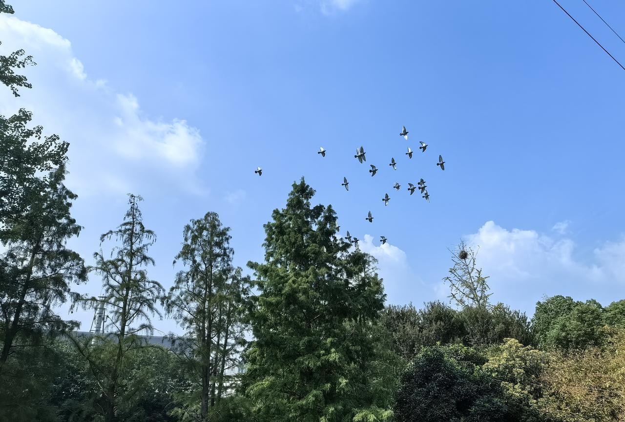 10月末的江南，18℃的天气，如果太阳的金芒正从蓝天上向下抚慰你的额头，而你散步