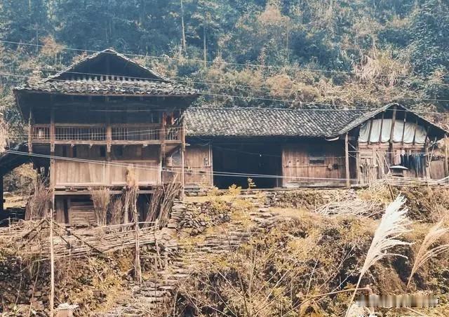 在农村生活的越久，才会明白农村是一个很复杂的地方来源:柳絮飘飞绘往事《人