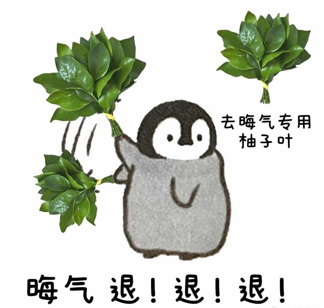 我真的求了明天过年了三天的ct还没结束吗这么多💰拿去做慈善行吗大晚上