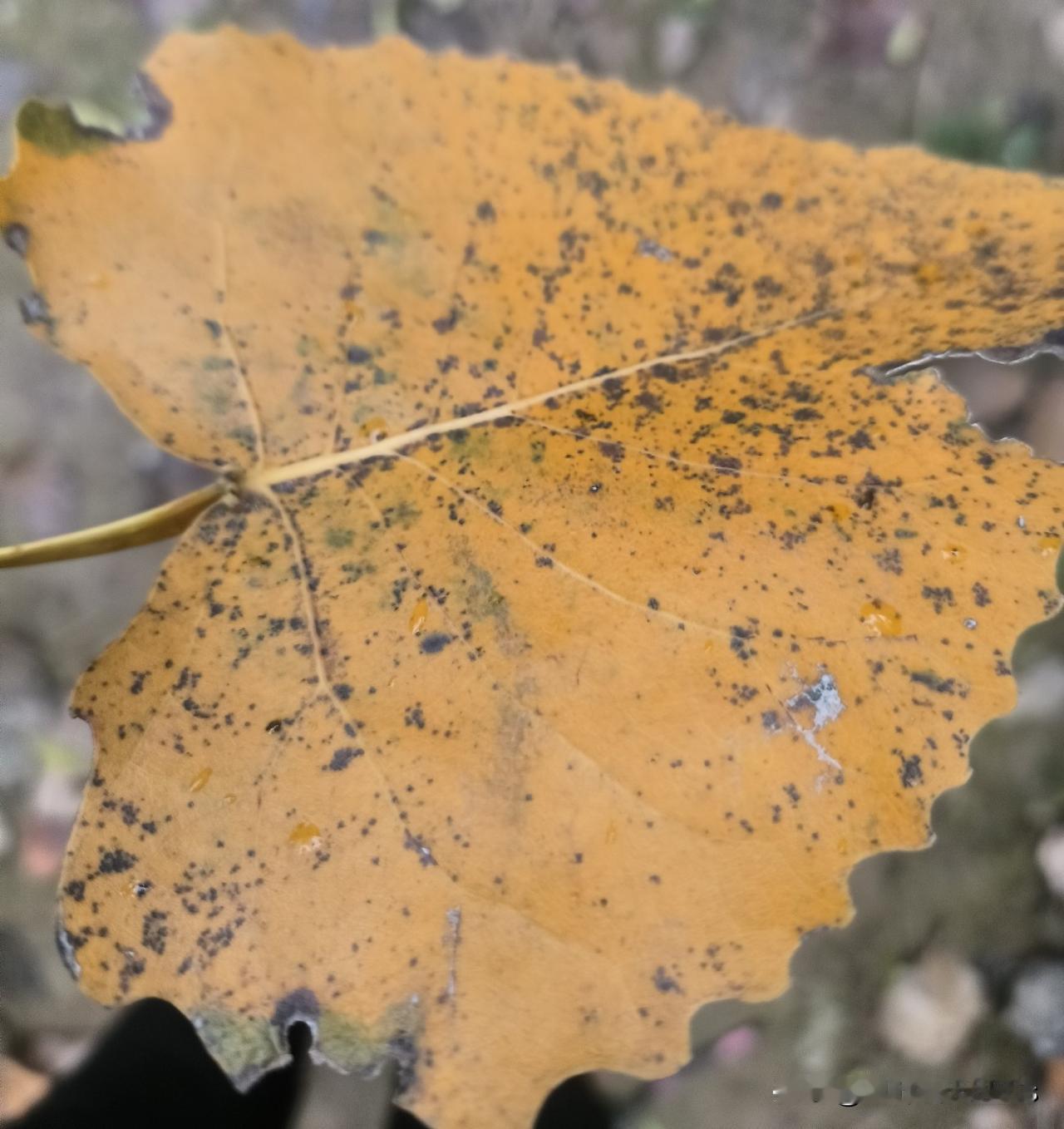 中美谈判省钱了!商务部传来好消息,养娃、海淘、做生意,这笔钱省下了近日,
