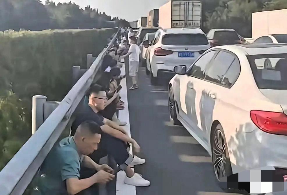 高速路上的都是卧龙凤雏，彼此预判了彼此的预判没想到今年是30号就堵上了，去年1