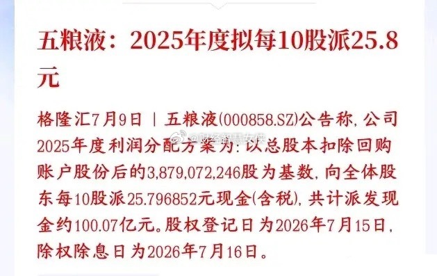 白酒板块开始自救了，龙头五粮液百亿分红五粮液敲定2025年分红方案：剔除自家回购