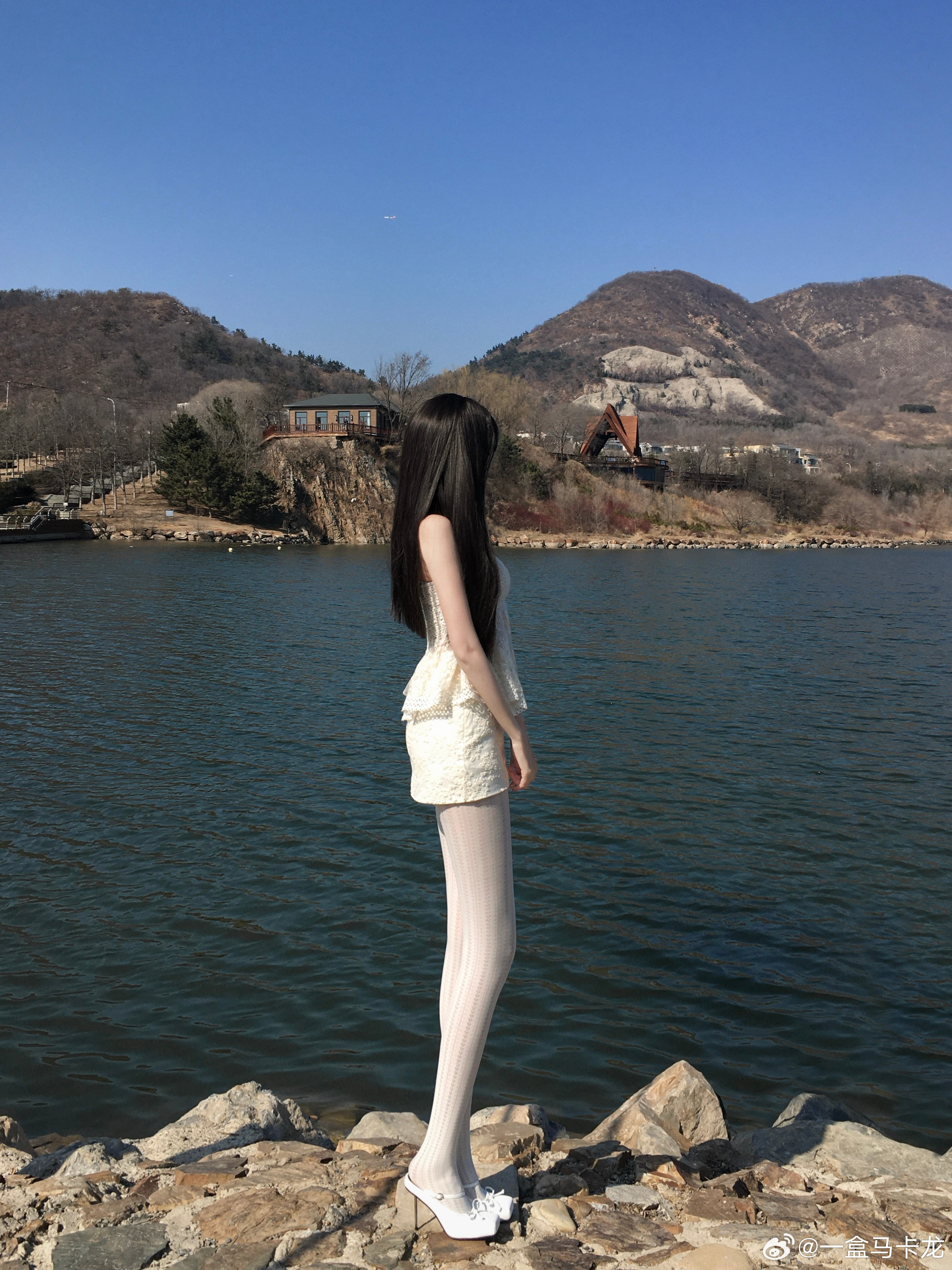 杳杳春来时🕊️