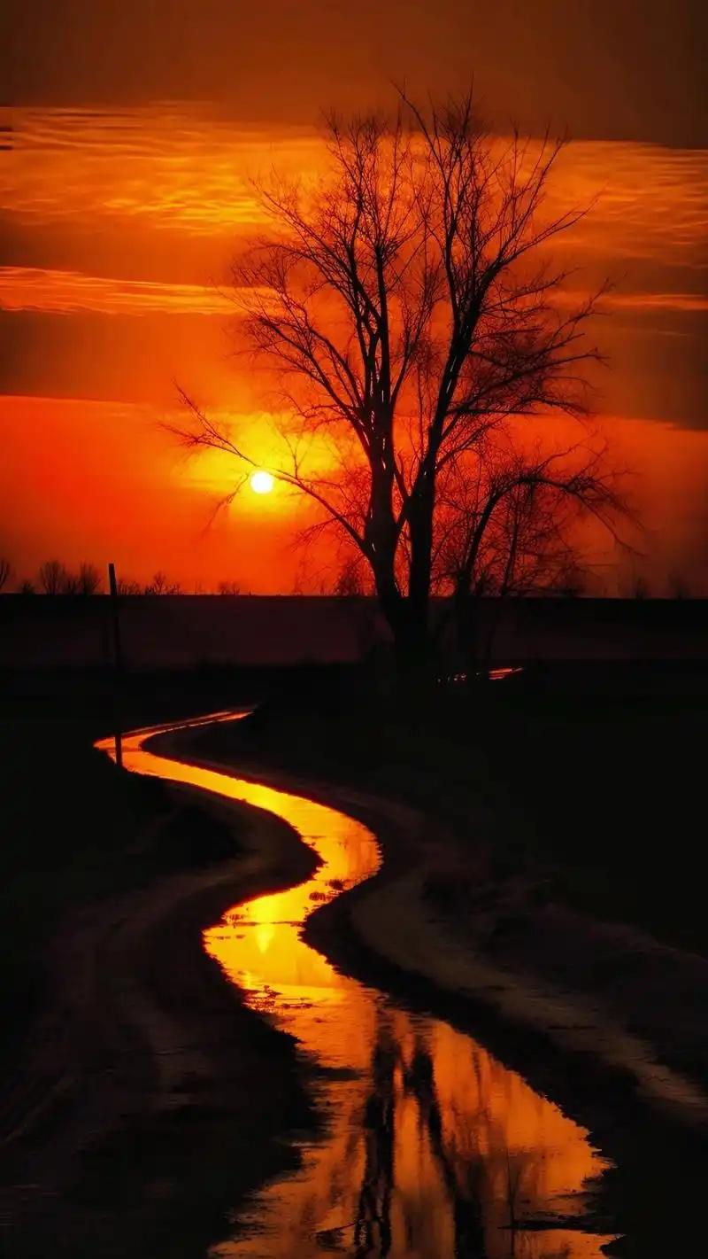 如果你家不是很缺钱，那我给你一条建议：能够夫妻都退休的，就一定都退休，别只是一个