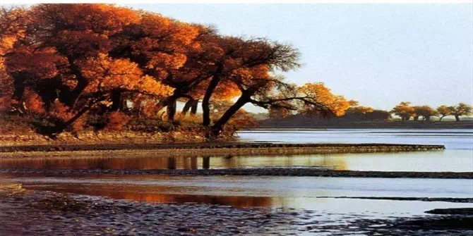 额济纳，一定是上帝打翻了调色盘，才会变得如此惊艳！​​​