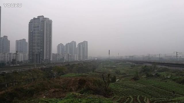 哦哦组段. * 上海长寿公园 金黛儿2013.11.6_土