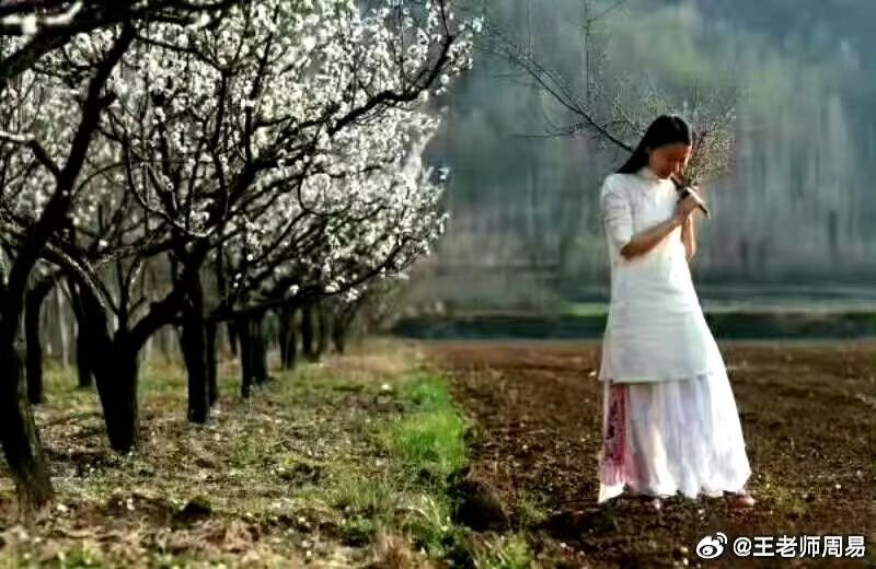 女命官杀混杂，官杀都透的，基本都犯桃花，基本都会离婚。若透两个官或两个杀，略好一