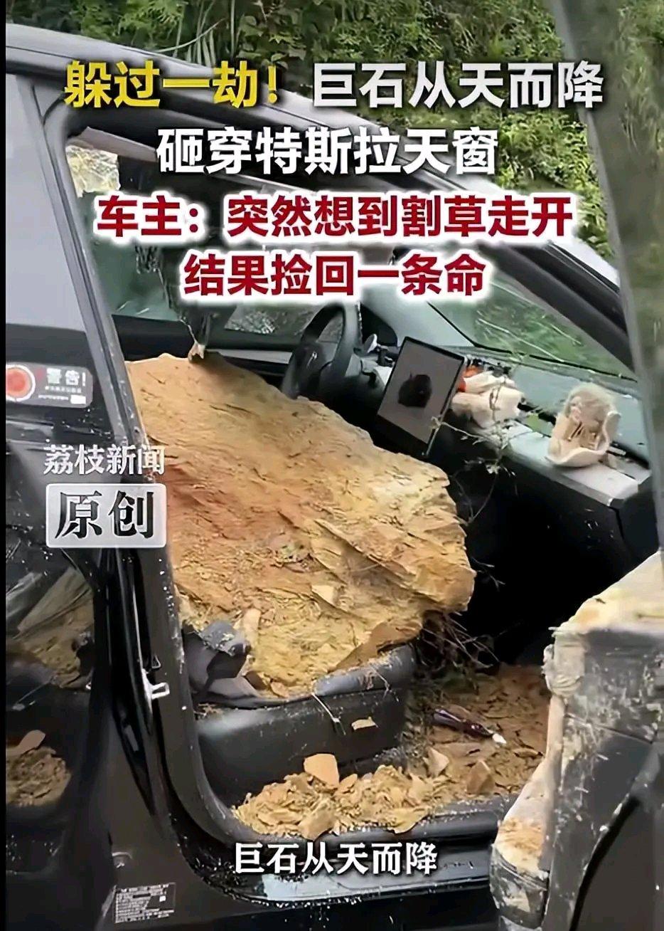 这是什么现实版的“兔子救命”剧情啊。重庆这对情侣本来都拉开车门准备上车歇脚了，