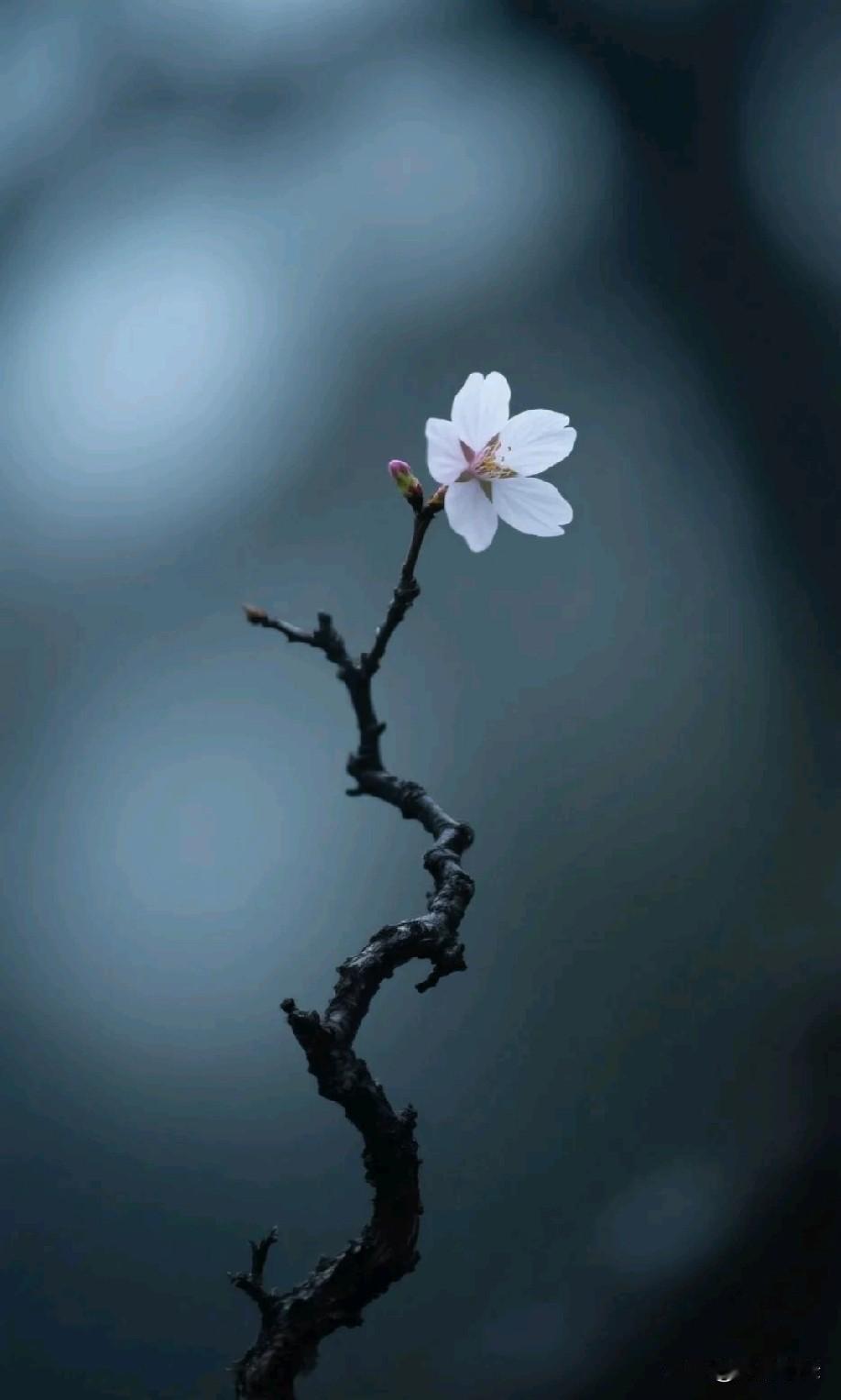 问大家一个问题，实话实说：现在能毫无压力，辅导孩子小学作业的家长有多少？不会超