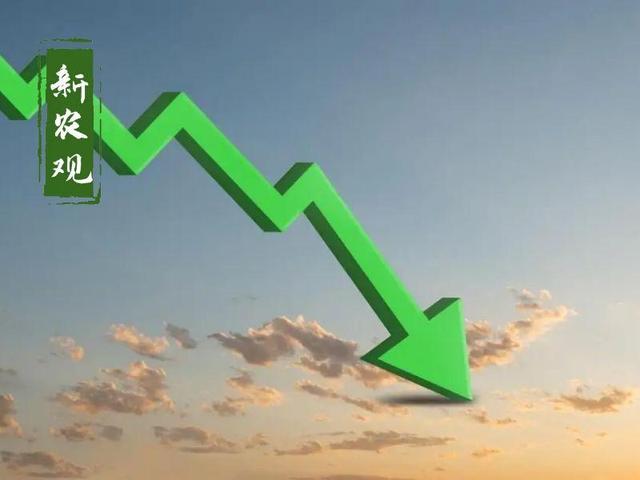 豆粕突然暴跌400元,但一点儿也不意外!还能涨吗?