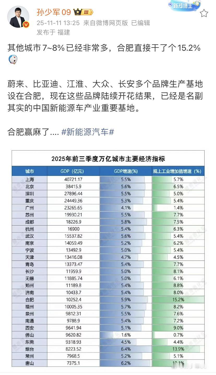 孙少军：其他城市7~8%已经非常多，合肥直接干了个15.2%！蔚来、比亚迪、
