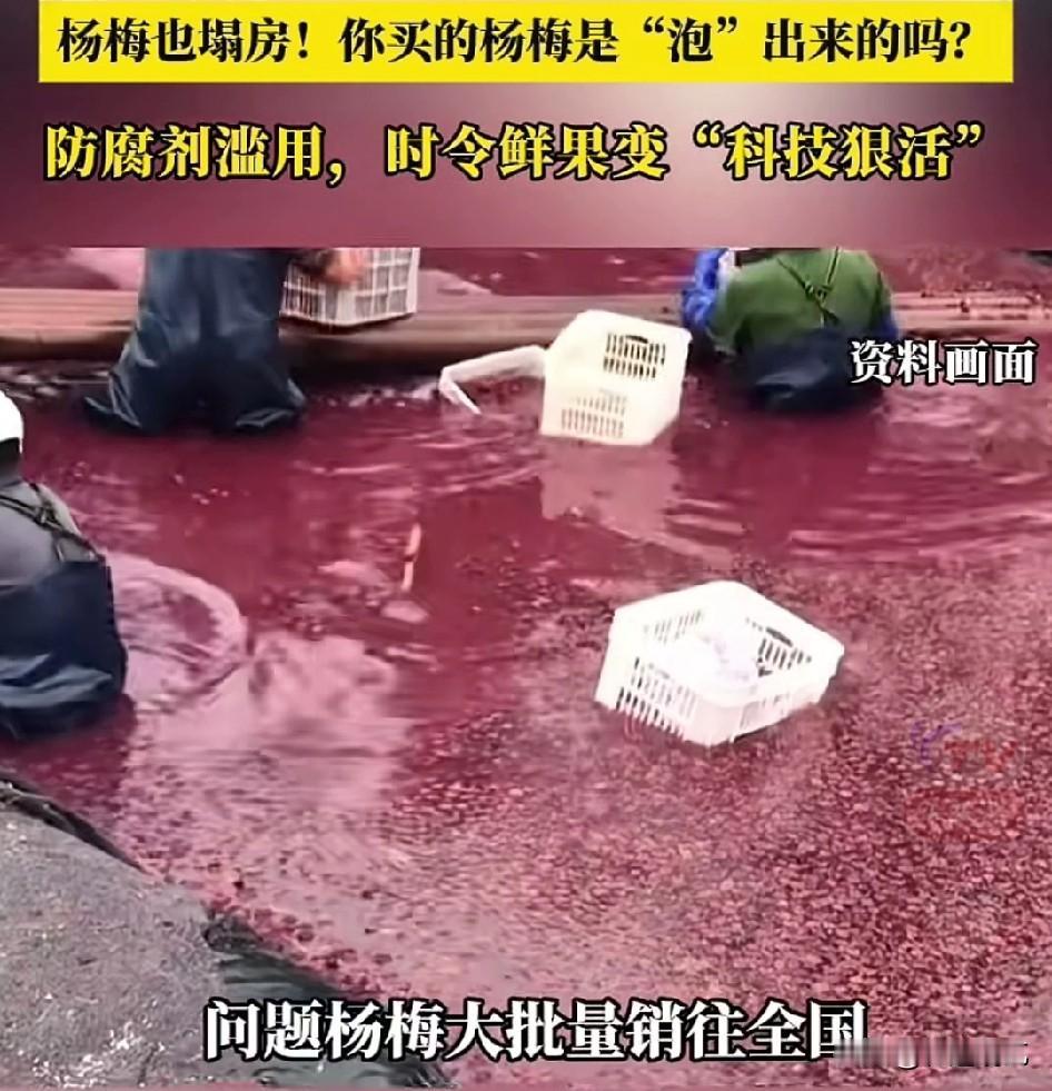 杨梅泡药水这事，那些果农才是最大的受害者。在多地曝光的杨梅使用防腐剂等问题之后