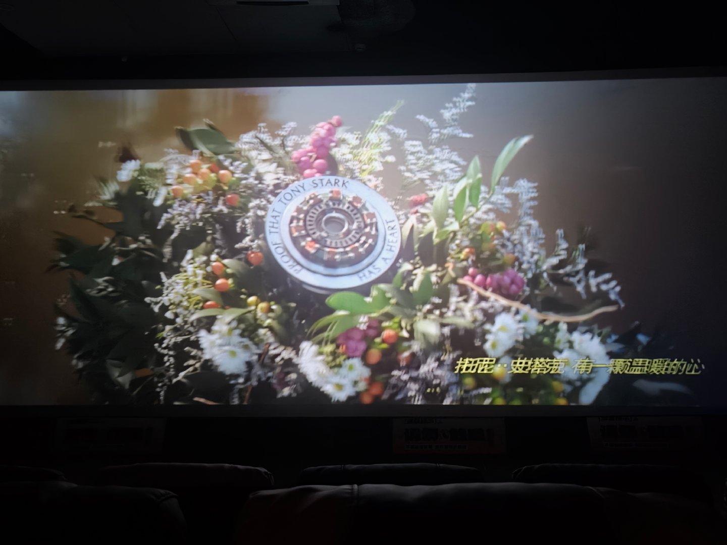 重映版的彩蛋居然有5个！信息量好大但是不建议看3d....看的脑袋疼钢铁侠永远都是钢铁侠凡人之躯比肩