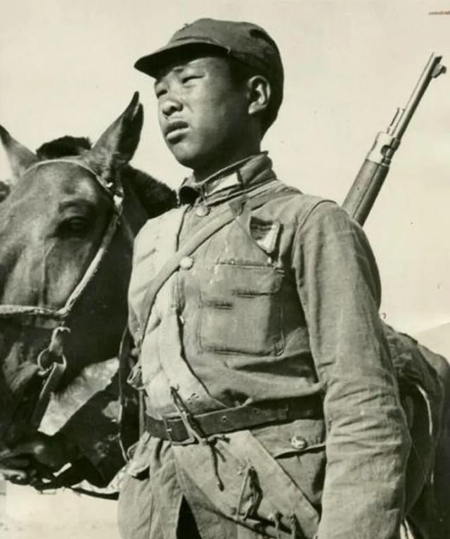 1939年，15岁的交通员李成二在送情报的途中，遇到了两只饿狼，他赶紧躲到了树上