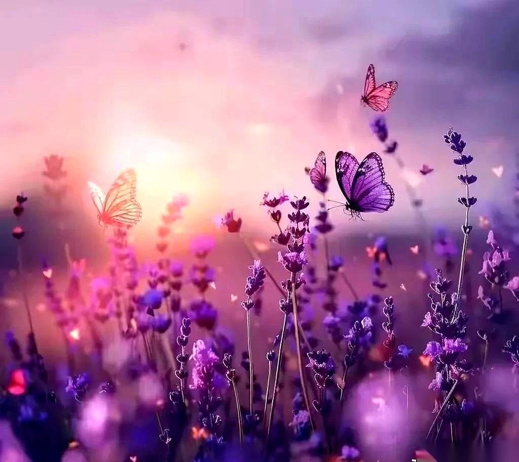 就签个字而已。哥们儿，帮个忙。然后，一套房子就这么没了。真的，就一秒钟的事