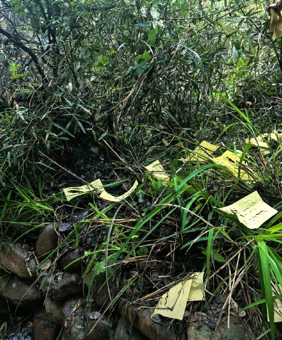 我们村有个女的，老公出轨，她不找正确方法，趁老公熟睡，手起刀落，断了他的根，紧接