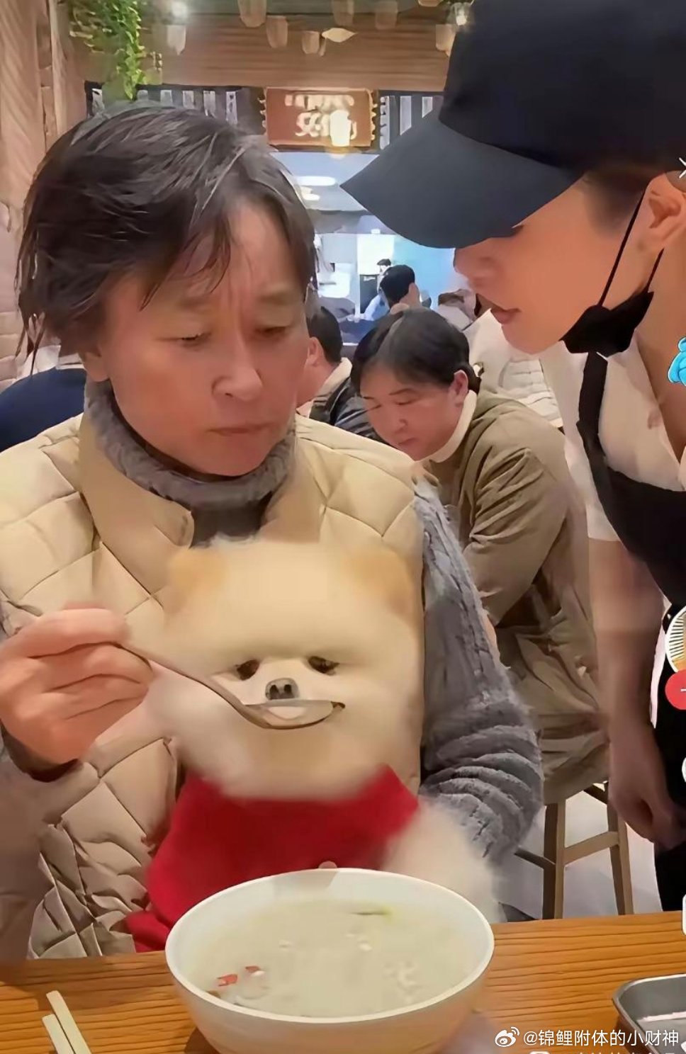 这不是人畜不分吗！一位大妈到饭店吃饭，令人吃惊的是，她竟然用勺子给狗喂饭。服务员