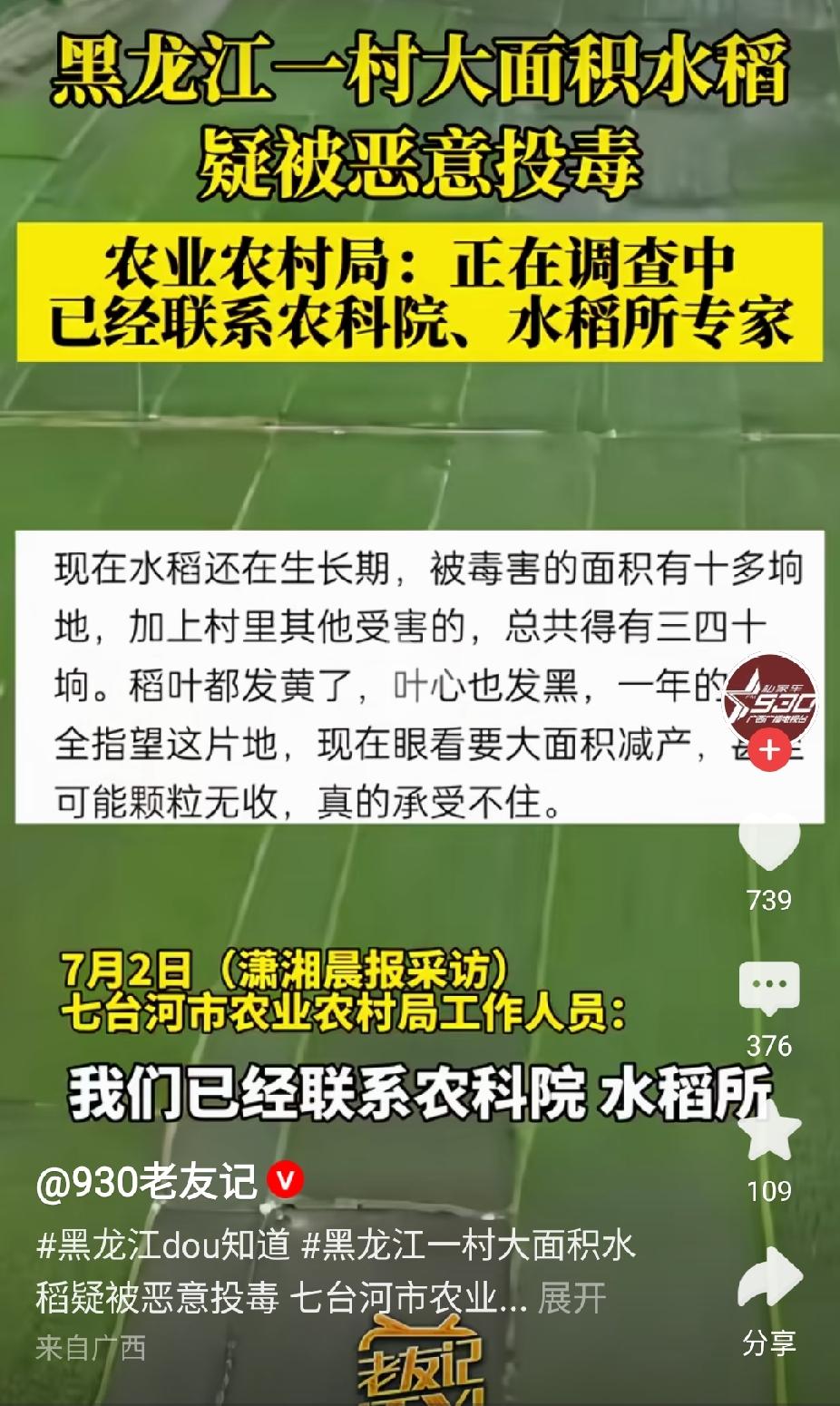 黑龙江七台河水稻大面积枯死事件，越品细节越不对劲：1、这次遭殃的稻田不是一